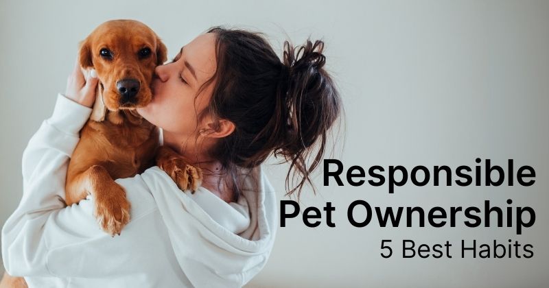 Creating the Habits of Responsible Pet Ownership