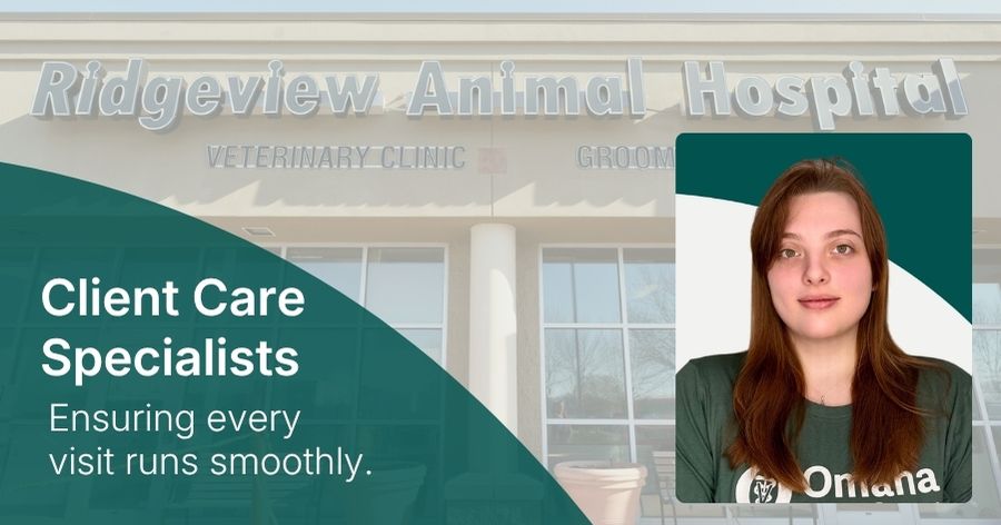 Celebrating our Client Care Specialists